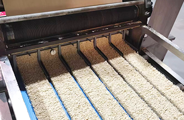 Non-fricta Noodle Productio Linea