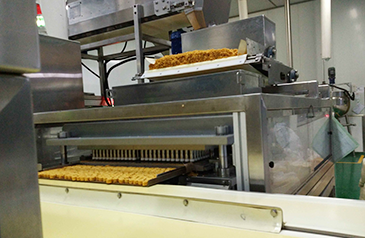 PORTIO Noodle productio linea