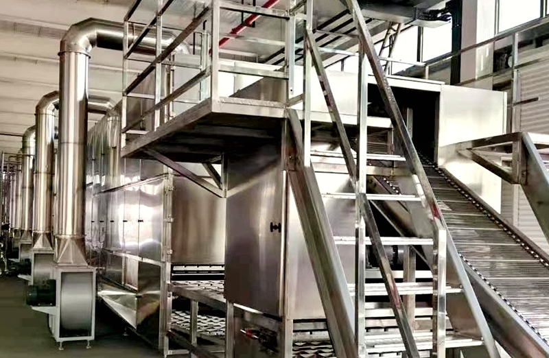 Non exaruit frixum linea productio noodle